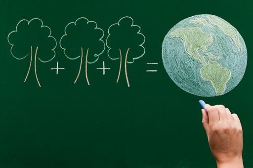 chalkboard drawing of three trees and earth
